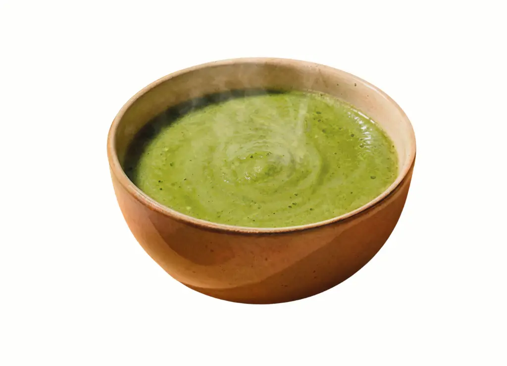 Bol Zucchini soup