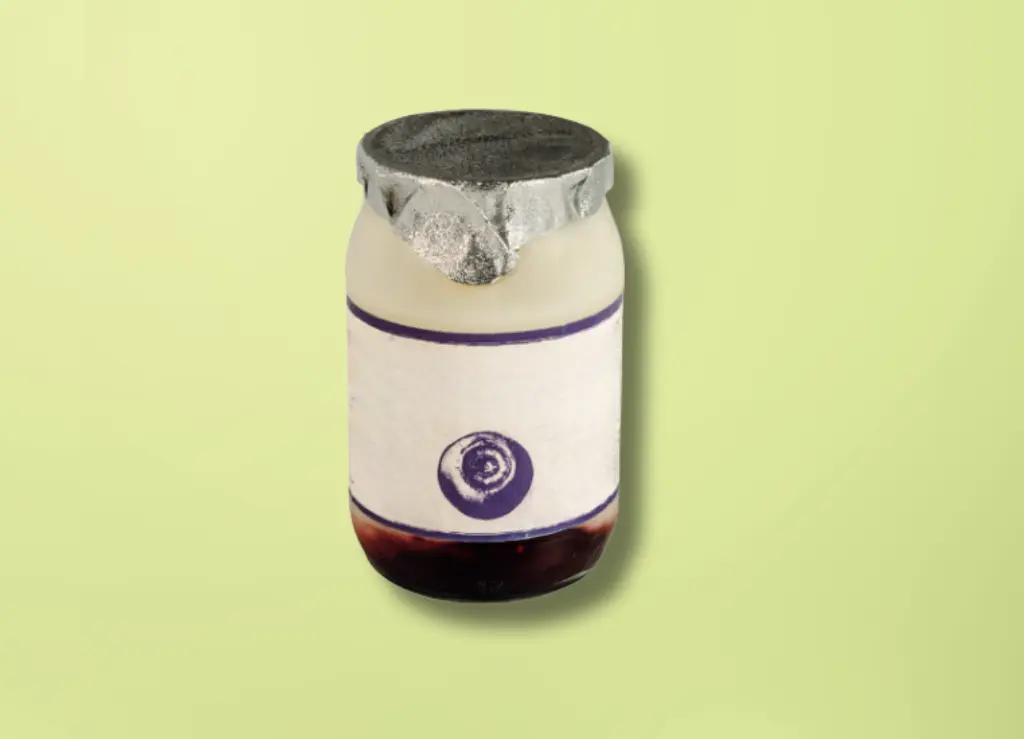 Bbosbessenyoghurt 